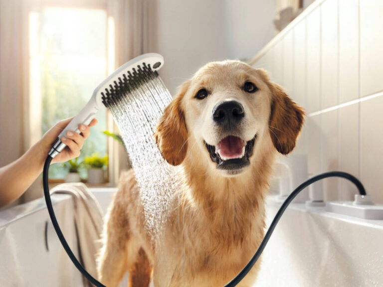 puppy:2rsc_-dctre= dog