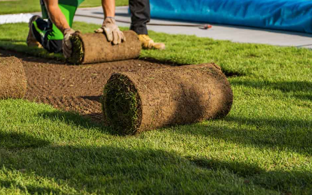 arcenturf turf || arcenturf